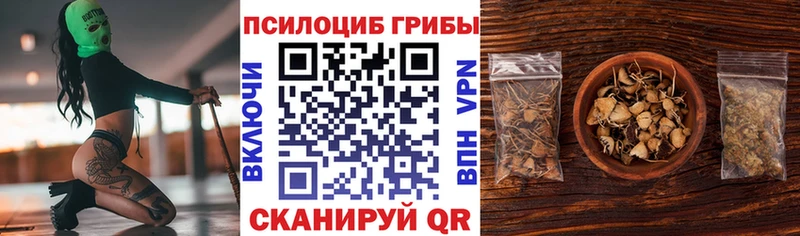 Псилоцибиновые грибы Magic Shrooms  Злынка 