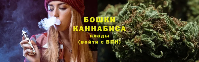 цена наркотик  Злынка  Шишки марихуана SATIVA & INDICA 